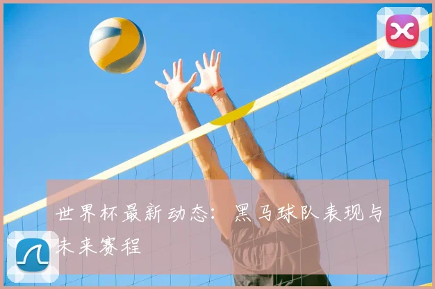 世界杯最新动态:黑马球队表现与未来赛程